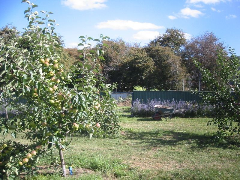 1408 Birralee Road, Birralee TAS 7303