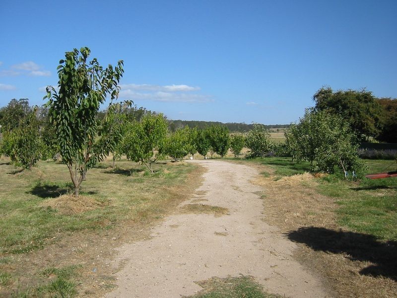 1408 Birralee Road, Birralee TAS 7303