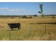 1408 Birralee Road, Birralee TAS 7303
