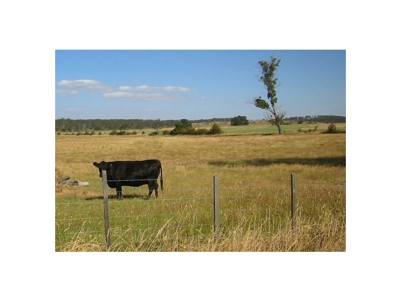 1408 Birralee Road, Birralee TAS 7303