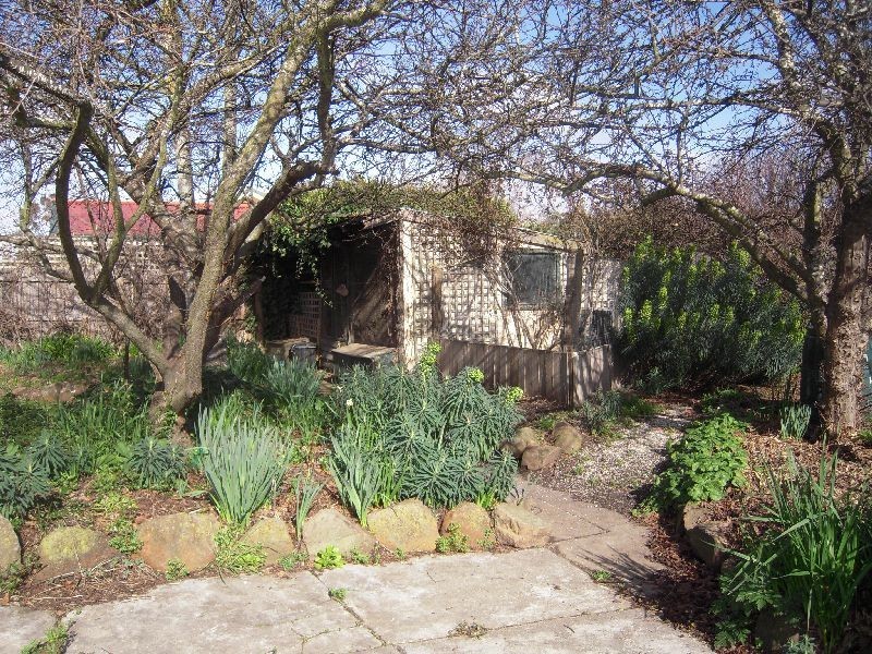 10 Catherine Street, Longford TAS 7301
