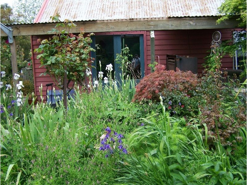 45 Wellington Street, Longford TAS 7301