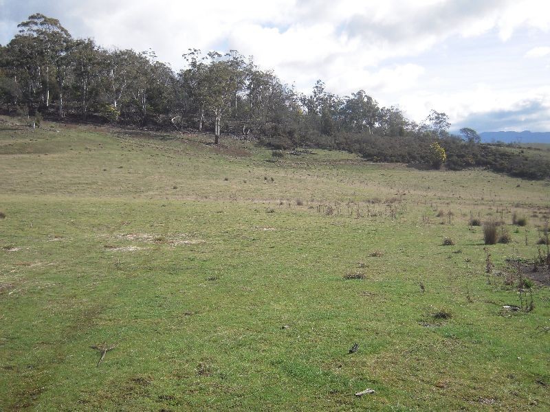 34 Sorell Street, Fingal TAS 7214