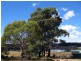 2 Fleming Drive, Miena TAS 7030