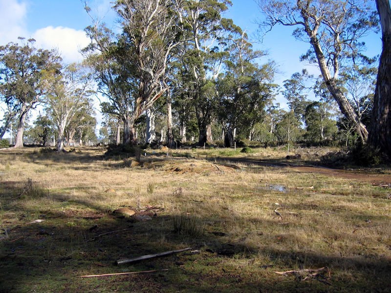 Lot 12 Interlaken Road, Lake Sorell TAS 7030