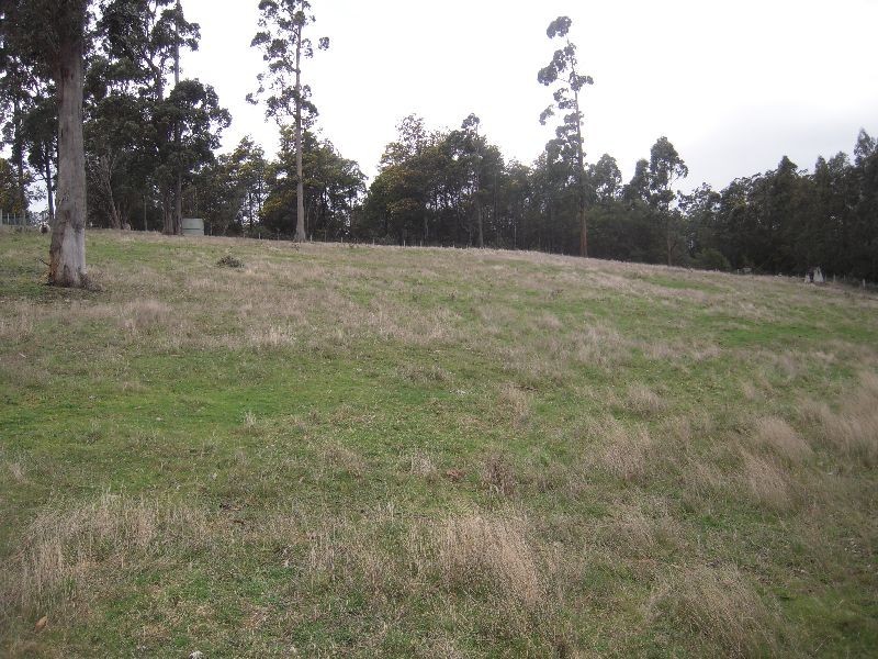 414 Golconda Road, Lilydale TAS 7268