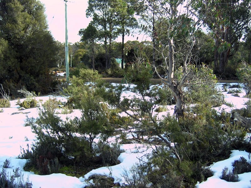 4 Shannon Road, Shannon TAS 7030