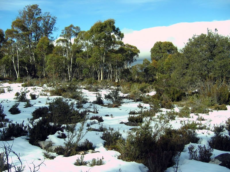 4 Shannon Road, Shannon TAS 7030