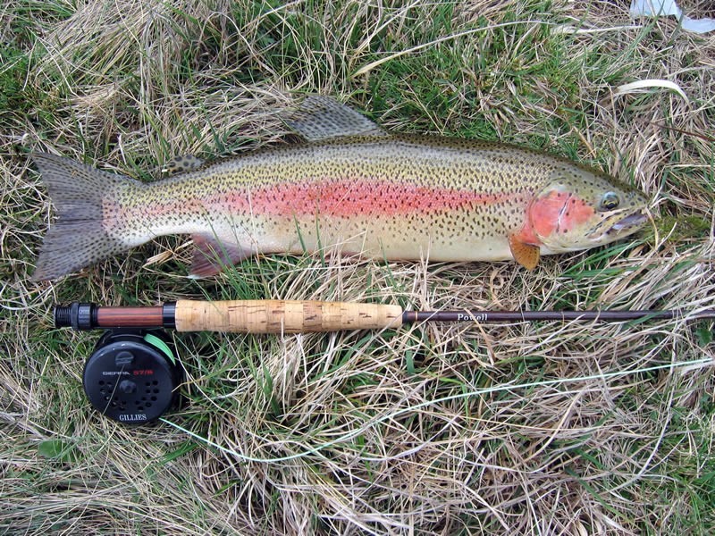 4 Shannon Road, Shannon TAS 7030