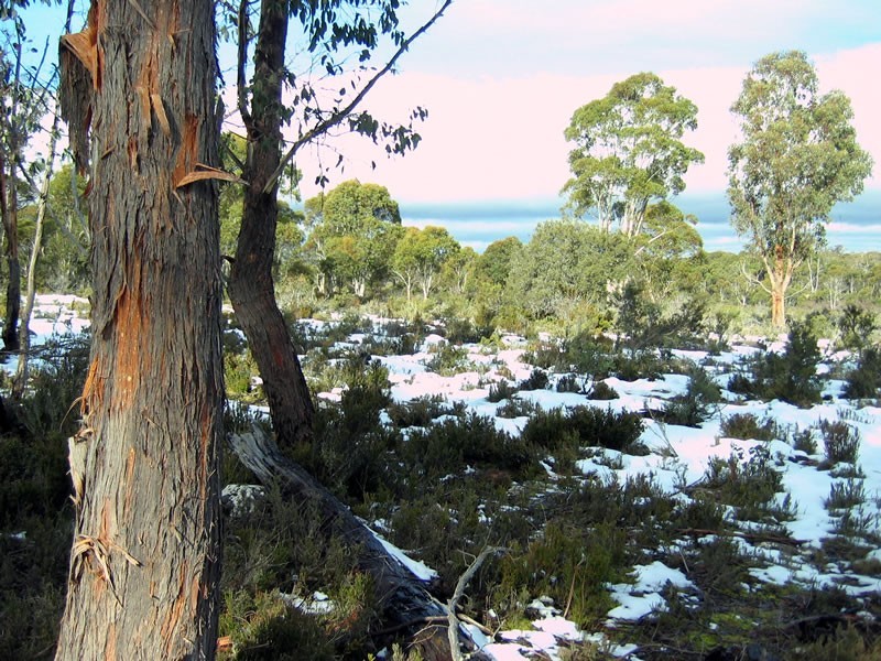 4 Shannon Road, Shannon TAS 7030