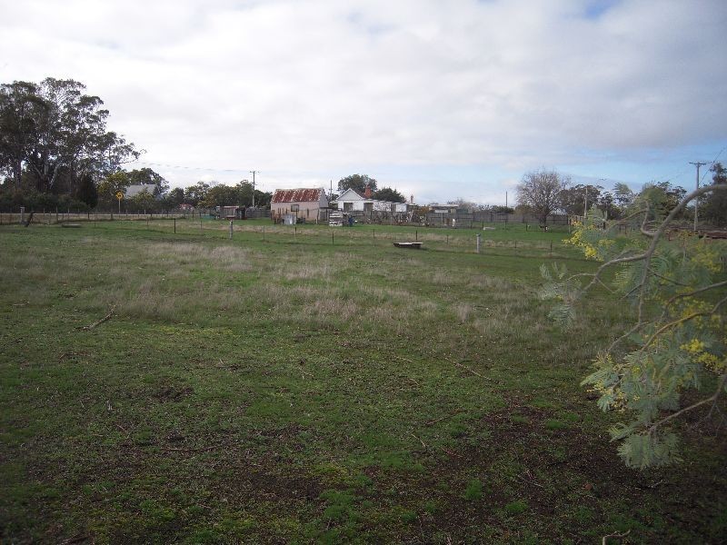 137 Conara Road, Conara TAS 7211