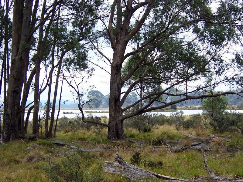 Lot 3 Woodwards Estate, Bradys Lake TAS 7140