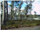 Lot 43 Pauciflora Drive, London Lakes TAS 7140