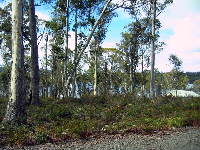 Lot 43 Pauciflora Drive, London Lakes TAS 7140