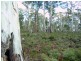 Lot 43 Pauciflora Drive, London Lakes TAS 7140