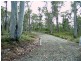 Lot 43 Pauciflora Drive, London Lakes TAS 7140