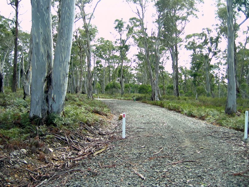 Lot 43 Pauciflora Drive, London Lakes TAS 7140