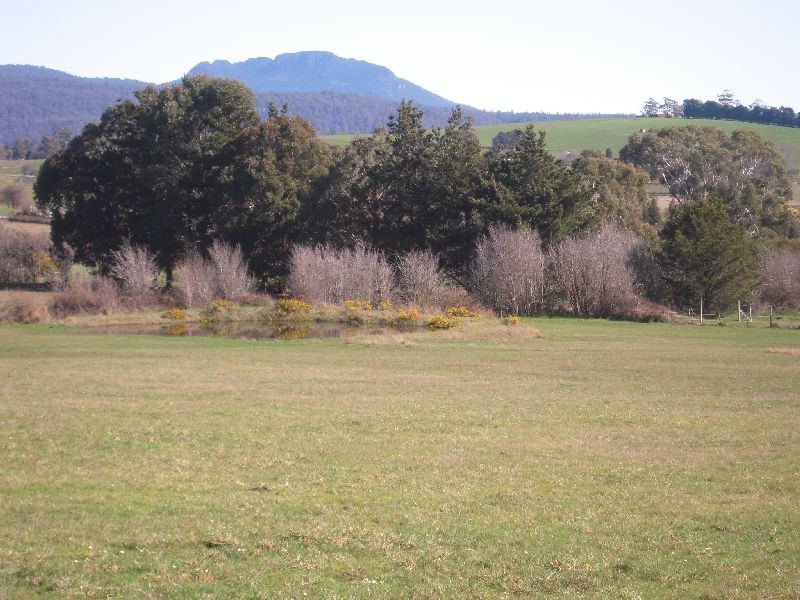 33 Reid Street, Westbury TAS 7303