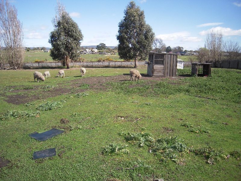 24 Bedford Street, Campbell Town TAS 7210