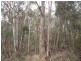2196 Blessington Road, Blessington TAS 7212