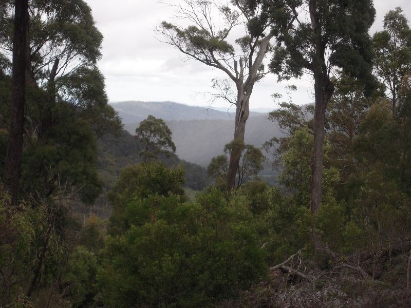 2196 Blessington Road, Blessington TAS 7212