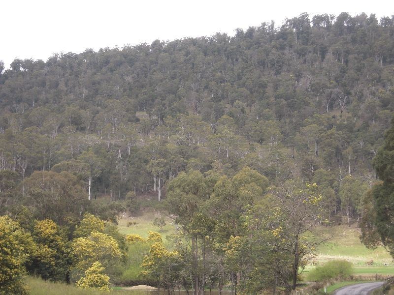 2196 Blessington Road, Blessington TAS 7212