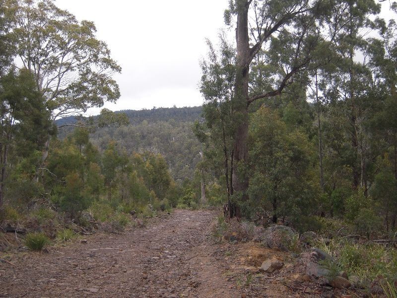 2196 Blessington Road, Blessington TAS 7212