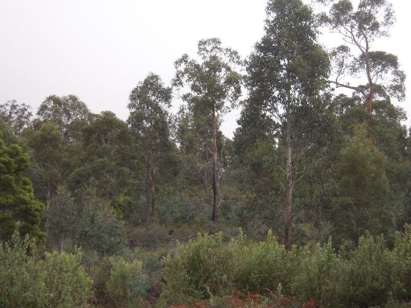 2196 Blessington Road, Blessington TAS 7212