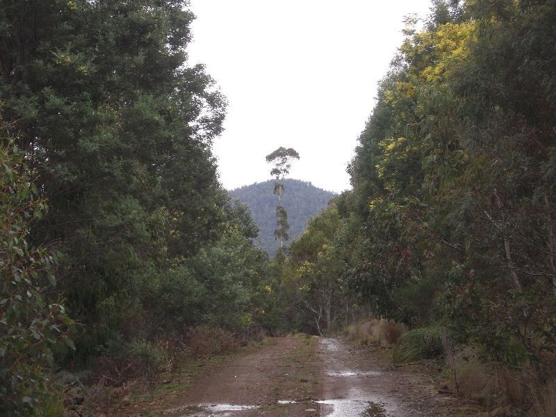 2196 Blessington Road, Blessington TAS 7212