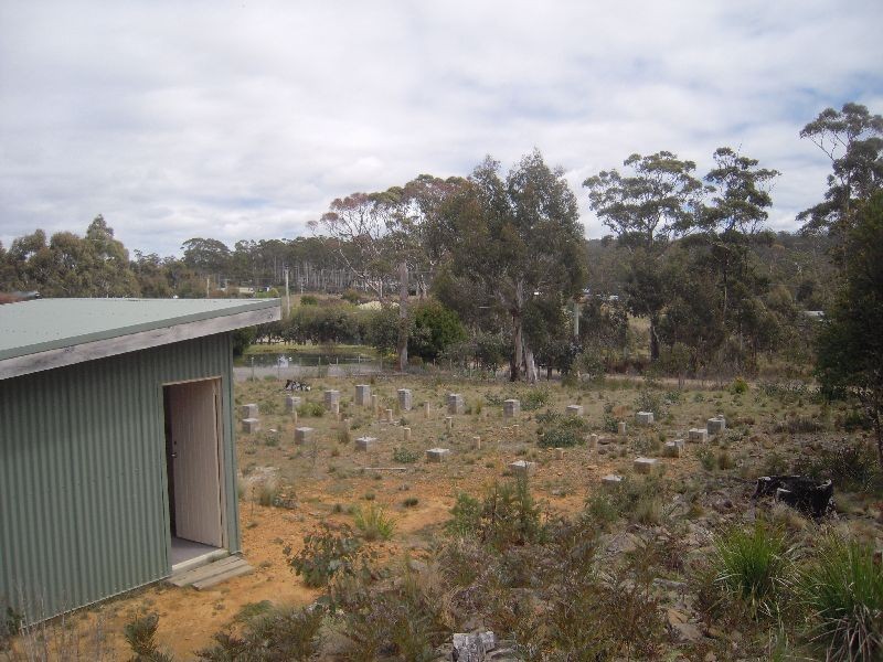 12 Brewis Place, Lake Leake TAS 7210