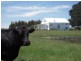 372 Bishopsbourne Road, Carrick TAS 7291