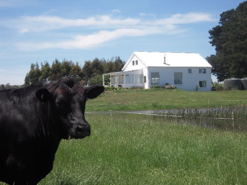 372 Bishopsbourne Road, Carrick TAS 7291