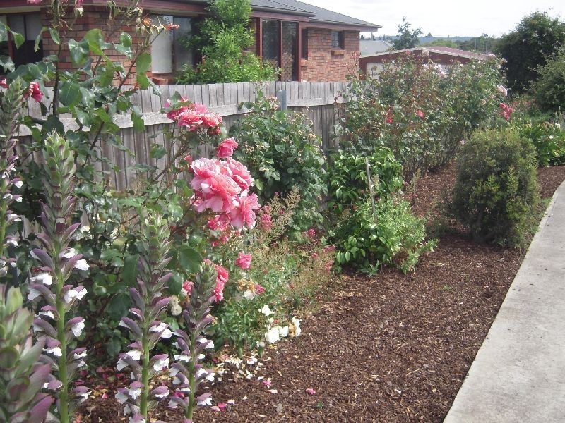 24 Bulwer Street, Longford TAS 7301