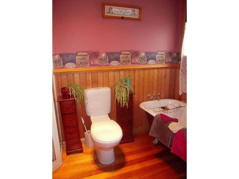 36 Archer Street, Cressy TAS 7302