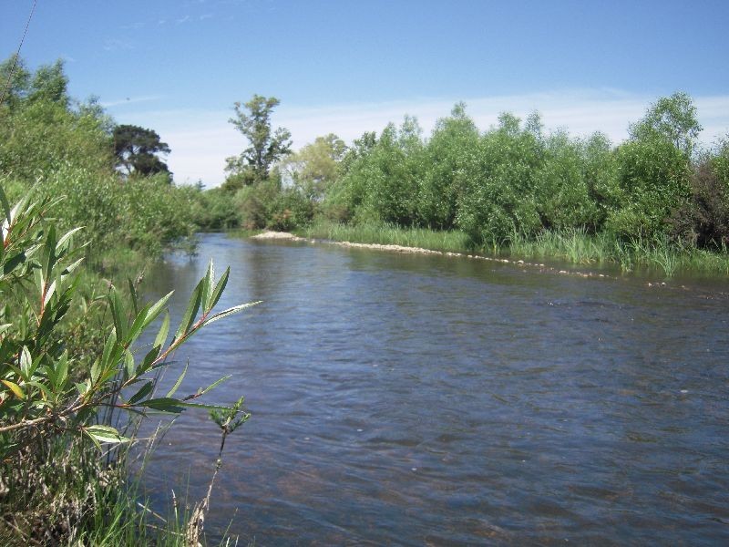 19 The Esplanade, Campbell Town TAS 7210