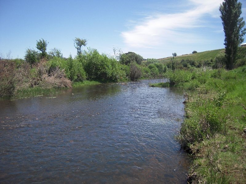 19 The Esplanade, Campbell Town TAS 7210