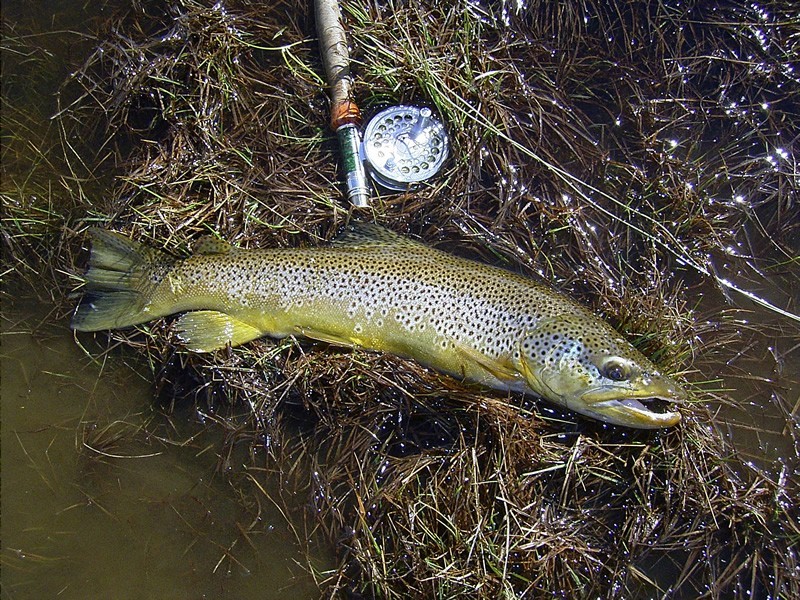 39 Lochiel Drive, Miena TAS 7030