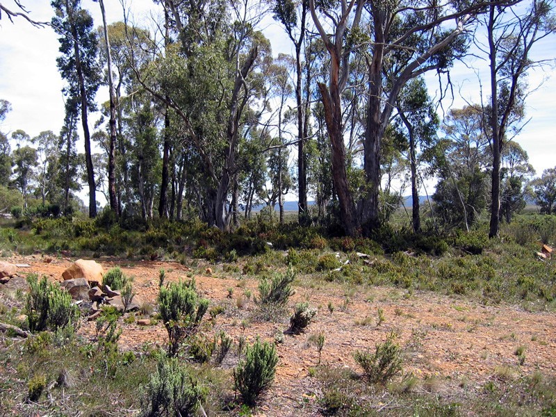 39 Lochiel Drive, Miena TAS 7030