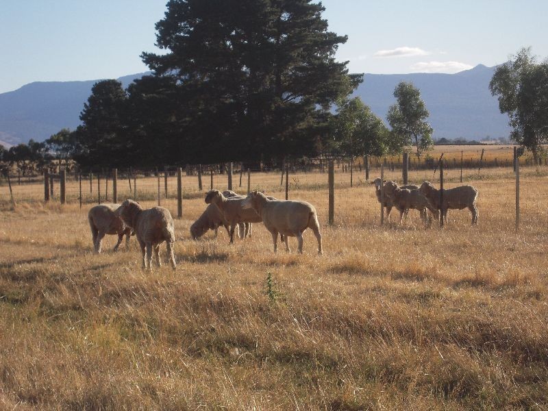 120 Main Street, Cressy TAS 7302