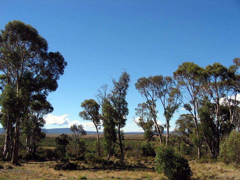 37 Lochiel Drive, Miena TAS 7030