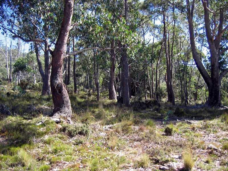 10866 Highland Lakes Road, Breona TAS 7304