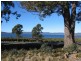 10185 Highland Lakes Rd, Brandum TAS 7304