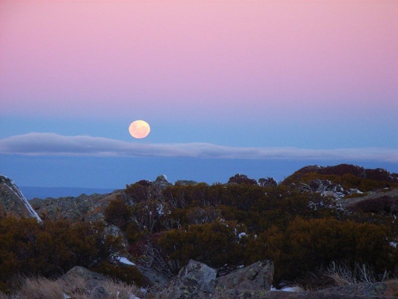 0 Zermatt Lodge, Ben Lomond TAS 7212