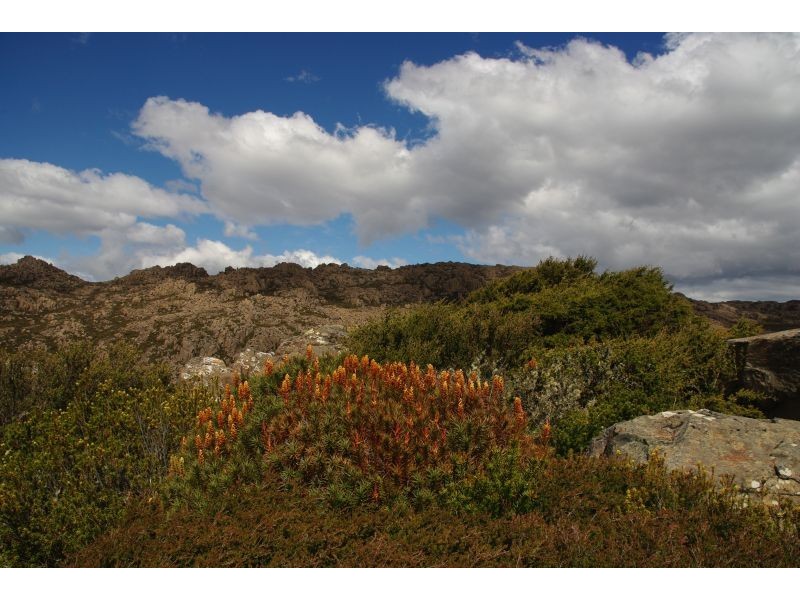 0 Zermatt Lodge, Ben Lomond TAS 7212