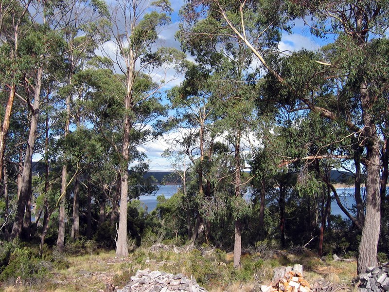 4 Warner Road, Breona TAS 7304