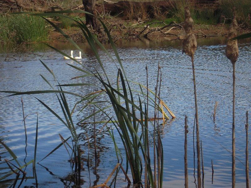 909 Selbourne Road, Selbourne TAS 7292