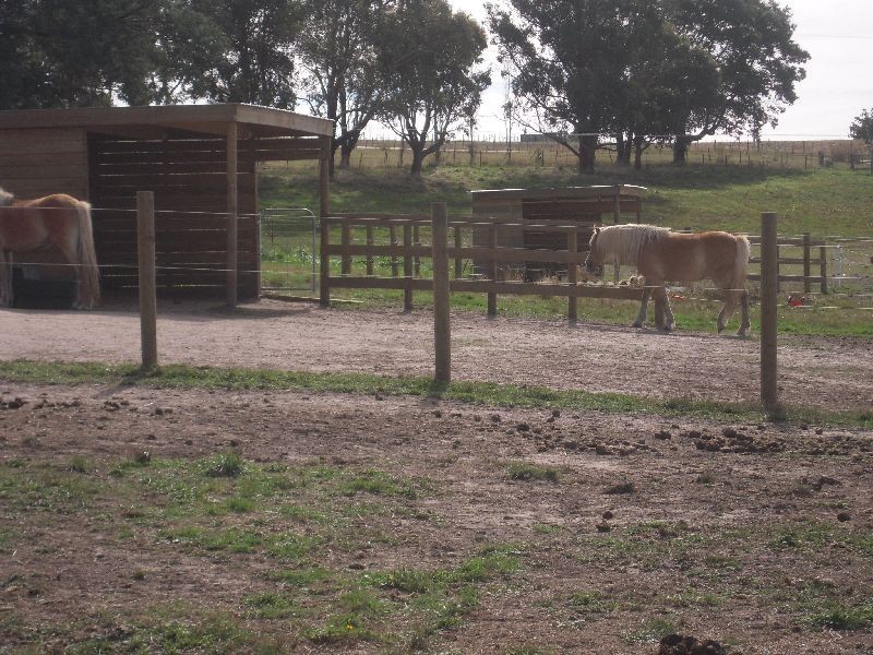 909 Selbourne Road, Selbourne TAS 7292