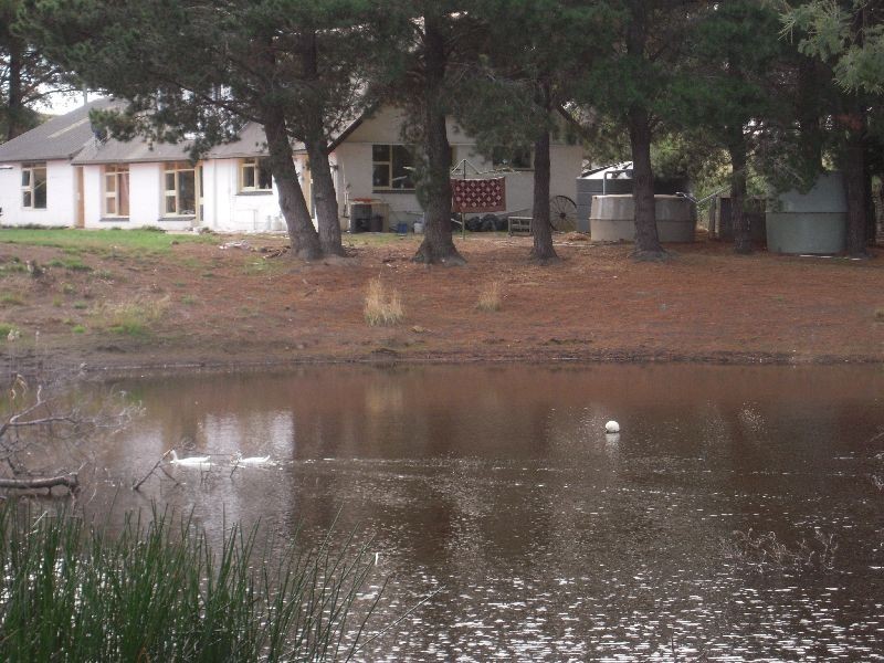 909 Selbourne Road, Selbourne TAS 7292