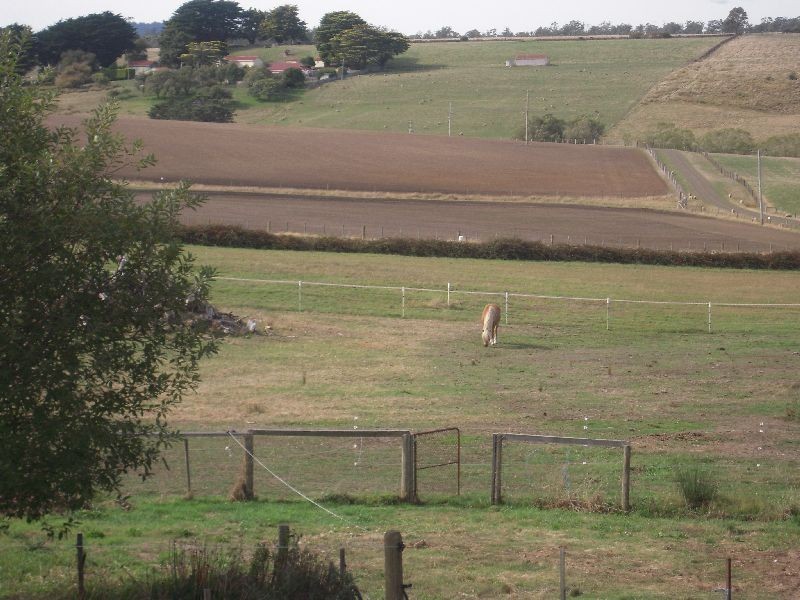 909 Selbourne Road, Selbourne TAS 7292