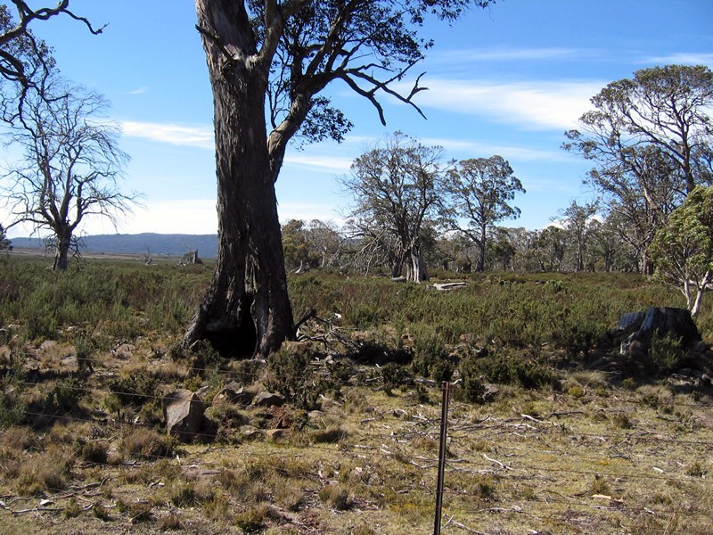 Lot – 10 Tods Corner Rd, Miena TAS 7030